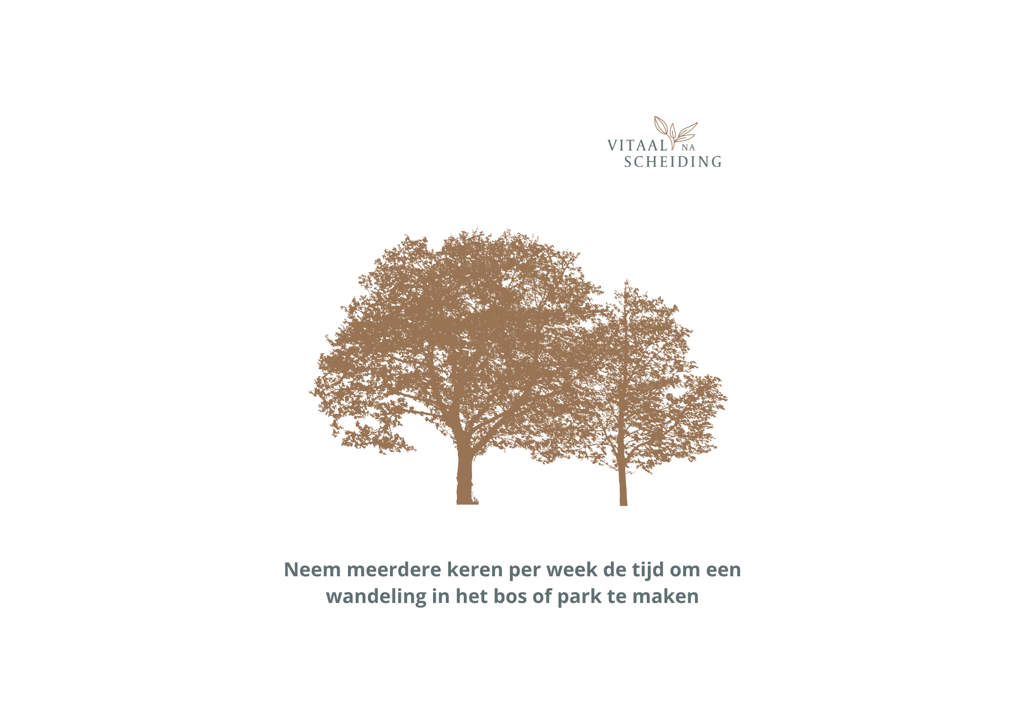 natuur-draagt-bij-aan-herstel-scheiding