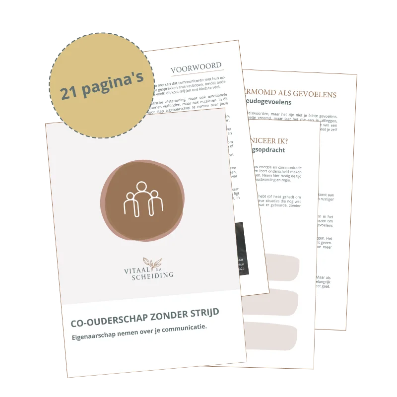 Co-ouderschap zonder strijd Mini Course